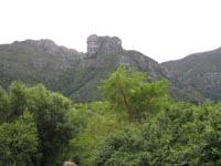 mountain_from_kirstenbosch.jpg