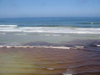 stained_water.jpg