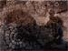 cave painting